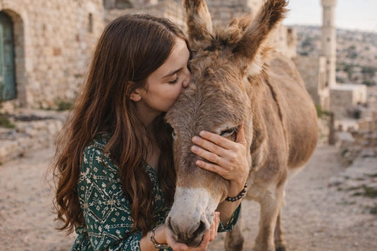 Savon au lait d’ânesse : ton allié peau douce